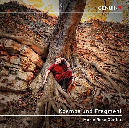 Kosmos und Fragment - Solo-CD von Marie Rosa Günter